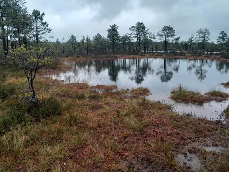 The Authentic Lahemaa daytour Carmen reisid - Who Is This Tour Best For?