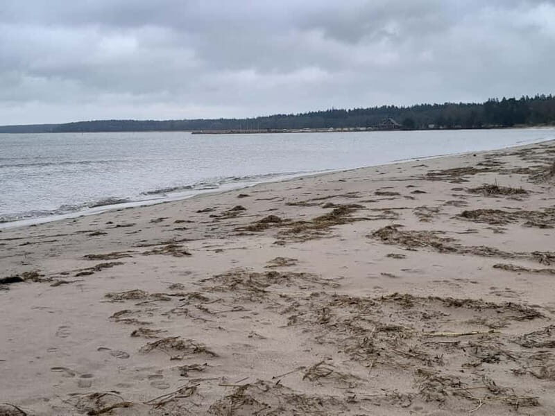 The Authentic Lahemaa daytour Carmen reisid - Final Thoughts