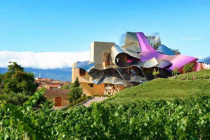 The Authentic Rioja Alavesa wine experiences - An In-Depth Look at the Rioja Alavesa Wine Tour