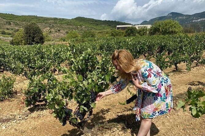 The Authentic Rioja Alavesa wine experiences - Who Is This Tour Best For?