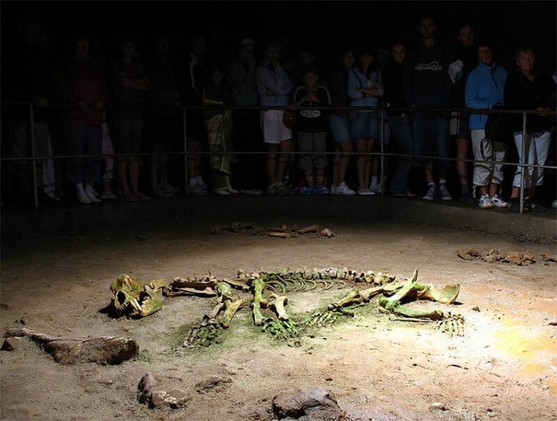 The Bear's cave: 1 day airconditioned car tour from Oradea - Exploring The Bear’s Cave: A Natural Marvel