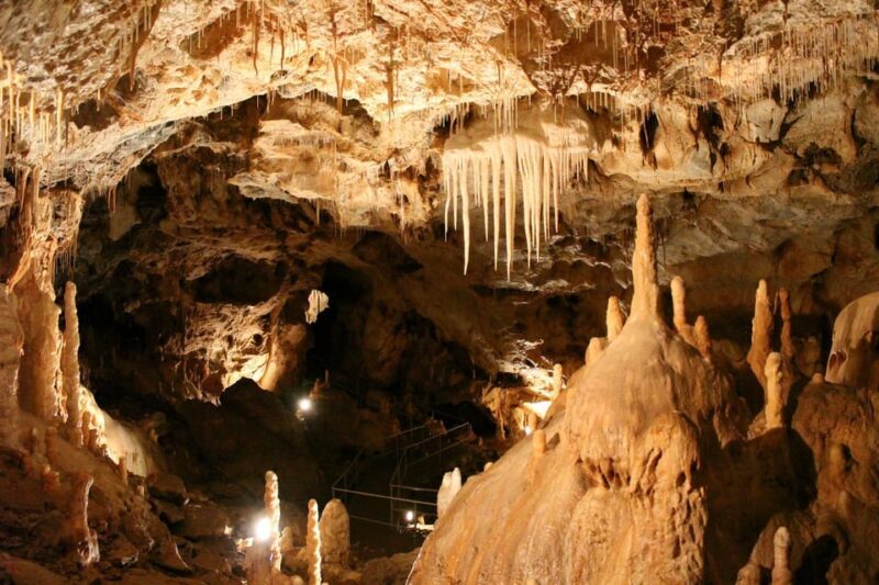 The Bear's cave: 1 day airconditioned car tour from Oradea - The Itinerary and What to Expect