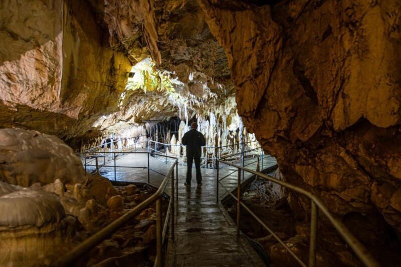 The Bear's cave: 1 day airconditioned car tour from Oradea - Price Analysis and Value