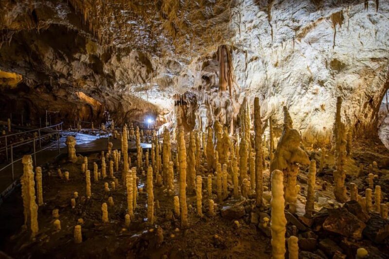 The Bear's cave: 1 day airconditioned car tour from Oradea - Practical Tips for Your Visit