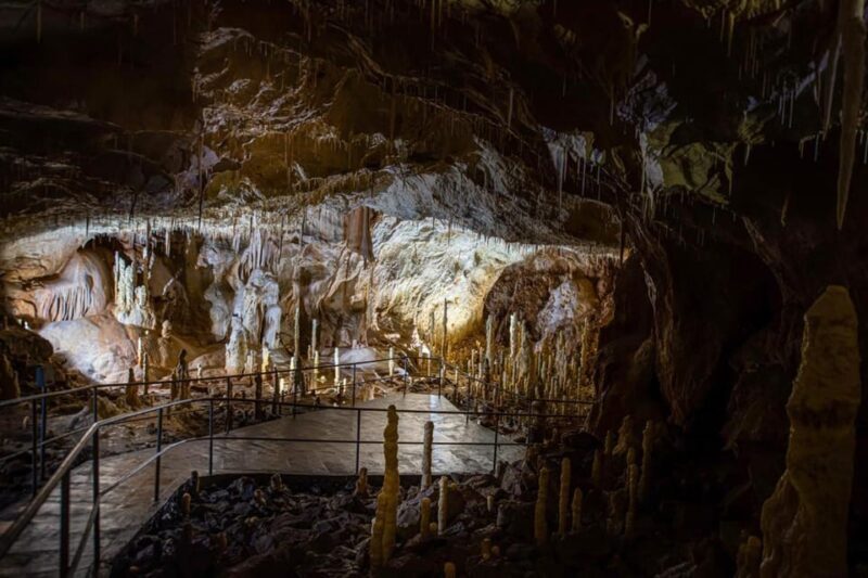 The Bear's cave: 1 day airconditioned car tour from Oradea - FAQ