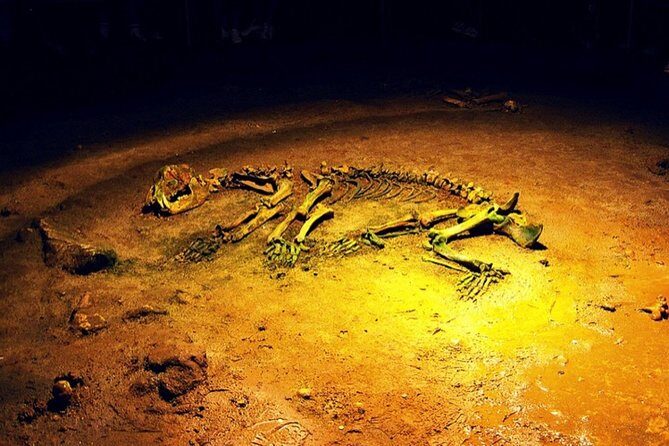 The Bear's Cave - One-Day Air conditioned car Tour from Oradea - Key Points