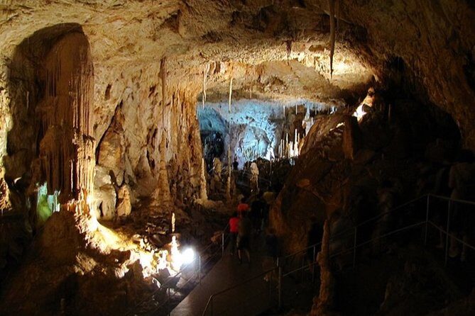 The Bear's Cave - One-Day Air conditioned car Tour from Oradea - The Itinerary in Detail