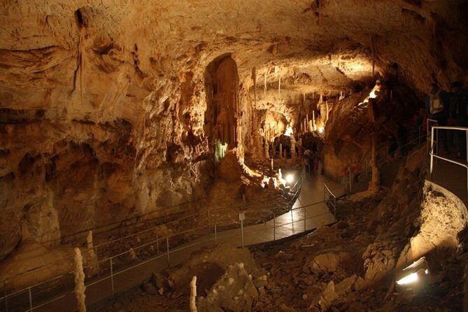 The Bear's Cave - One-Day Air conditioned car Tour from Oradea - The Sum Up