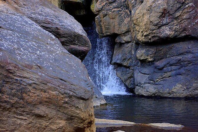 The Beauty And Culture Of Coorg - From Bangalore With Private Transfer - Exploring the Scenic and Cultural Treasure Chest of Coorg