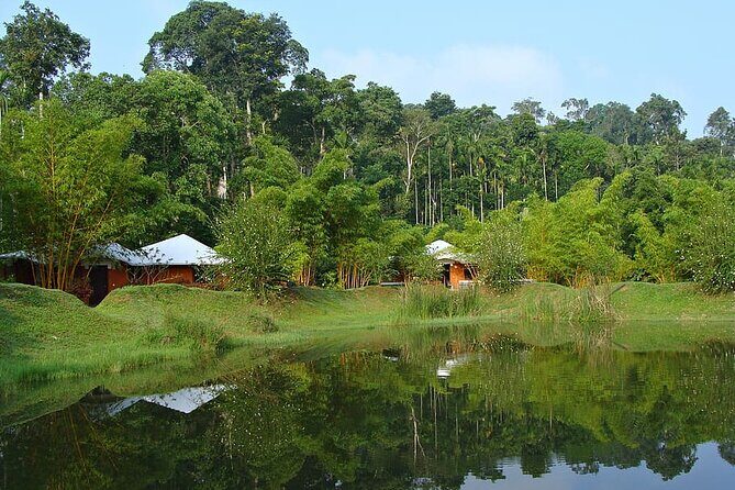 The Beauty And Culture Of Coorg - From Bangalore With Private Transfer - Whats Included and Whats Not