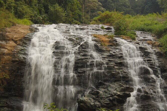 The Beauty And Culture Of Coorg - From Bangalore With Private Transfer - Practical Tips for Travelers