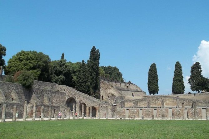 The beauty of Pompeii with a Private Expert Tour Guide / Archaeologist. - Who Will Love This Tour?