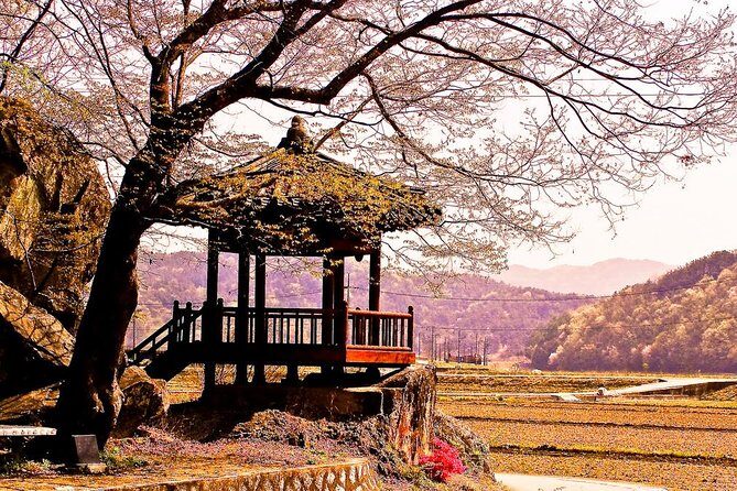 The Beauty of the Korea Cherry Blossom Discover 9days 8nights - What Do Travelers Say?
