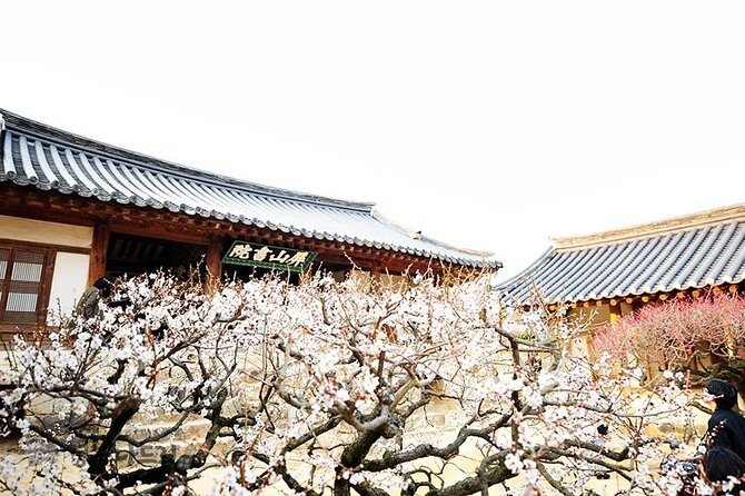 The Beauty of the Korea Cherry Blossom Discover 9days 8nights - Final Thoughts: Who Should Consider This Tour?