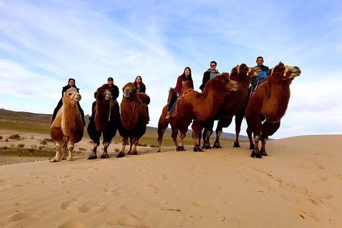 The Best 5 Days Tour in Central Mongolia (Plus) - Day 4: Return to Ulaanbaatar & Cultural Exploration