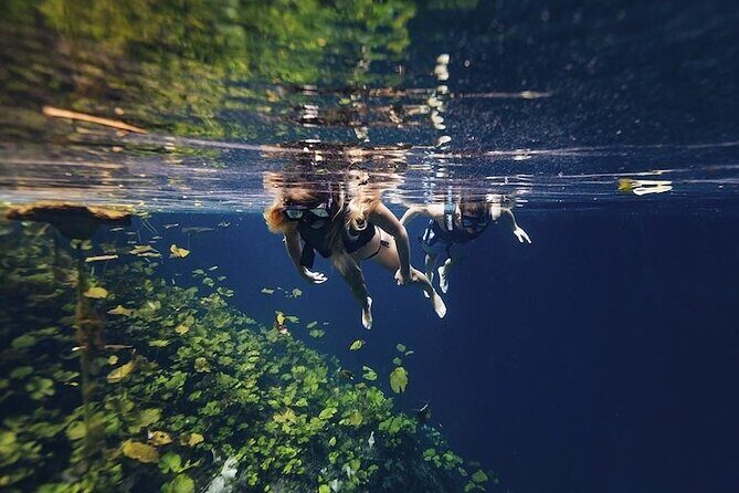 The best adventure Atvs, Cenote and Transportation Included - Exploring the Tour Itself