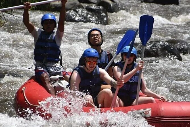 The Best Ayung River Rafting Adventure in Ubud - Who Is This Tour Best For?