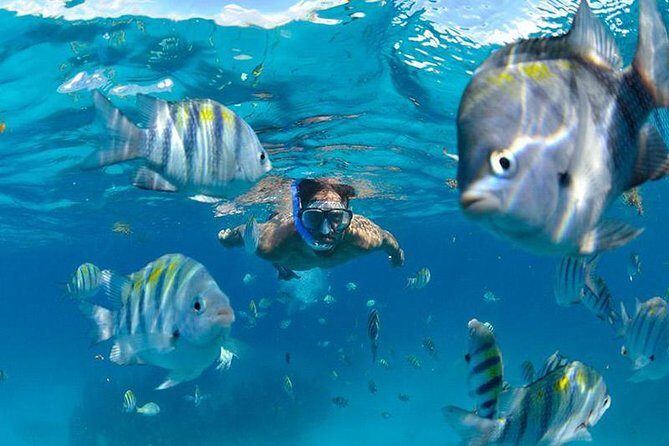 The Best Catamaran Tour to Isla Mujeres from Cancún - The Sum Up: Who Is This Tour Best For?