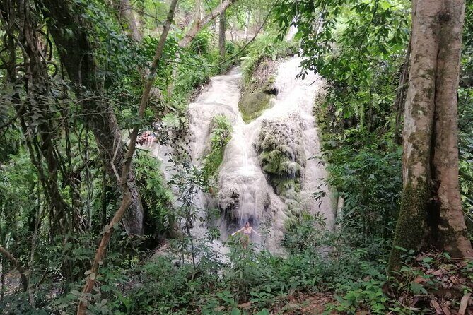 The Best Full Day Tour: Doi Suthep, Wat Phalat, Sticky Waterfall - Final Thoughts