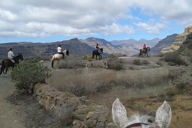 The Best Horse Riding Experience in Gran Canaria (1 hour) - An In-Depth Look at the Horseback Riding Tour