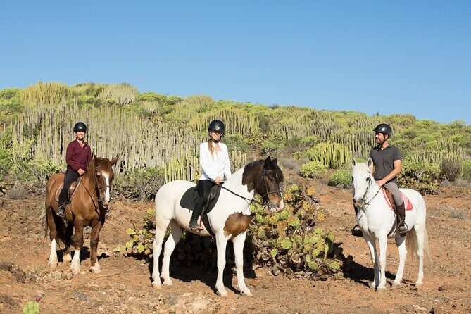 The Best Horse Riding Experience in Gran Canaria (2 hours) - FAQ