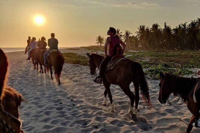 The Best Horseback Riding Trip: Wildlife, Rivers, Beach, Sunset.. - Introduction