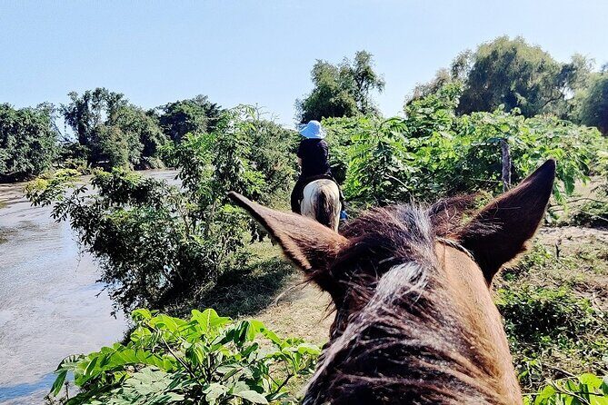 The Best Horseback Riding Trip: Wildlife, Rivers, Beach, Sunset.. - What to Expect and Tips
