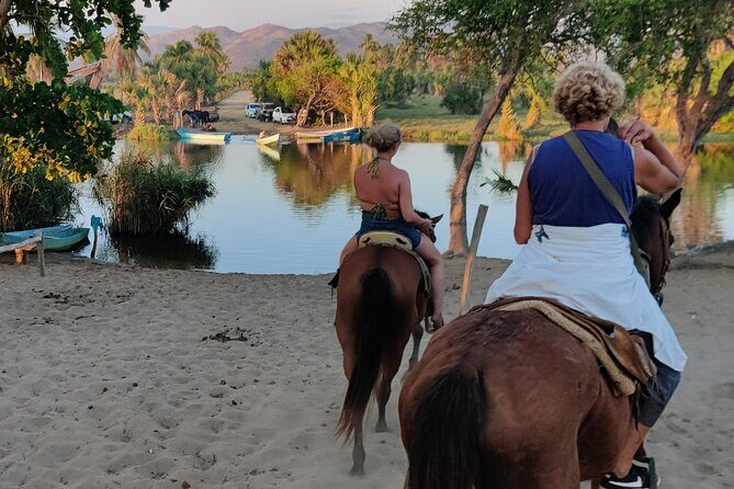 The Best Horseback Riding Trip: Wildlife, Rivers, Beach, Sunset.. - Who Will Enjoy This Tour?