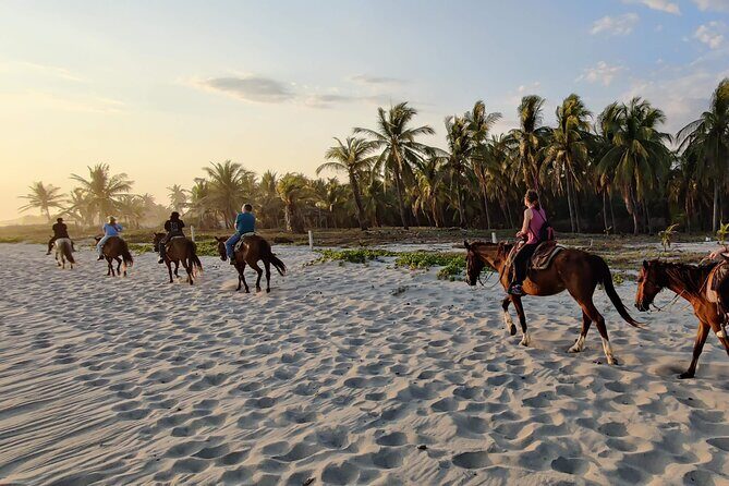 The Best Horseback Riding Trip: Wildlife, Rivers, Beach, Sunset.. - The Sum Up
