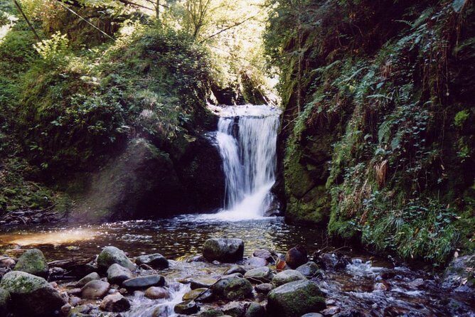 The best in Baden-Baden surroundings and Black Forest. Start from Baden-Baden - What Reviewers Say