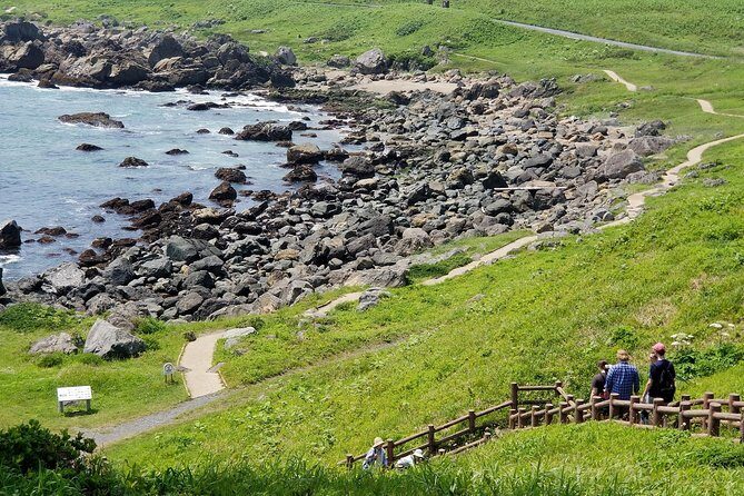 The best morning and Michinoku Shiokaze trail trekking in the Tanesashi Coast natural grassland - The Sum Up