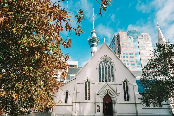 The best of Auckland private walking tour - Key Points
