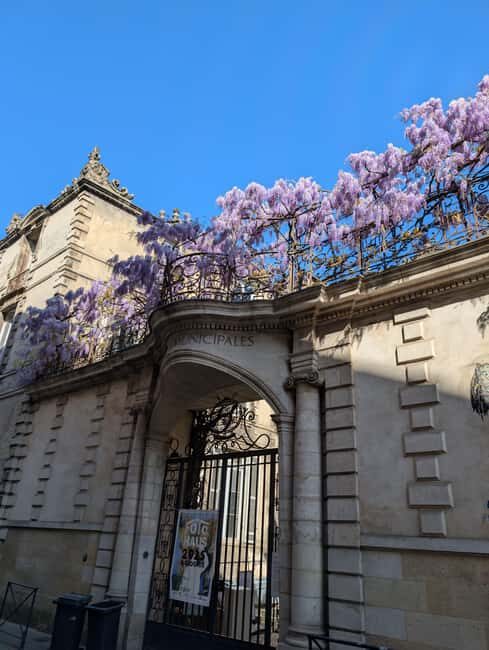 The Best of Bordeaux Walking Tour + 1 Glass of Wine - Value and Experience: An Honest Look