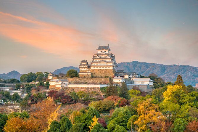 The Best of Himeji Walking Tour - What the Reviews Reveal (Based on Insights)