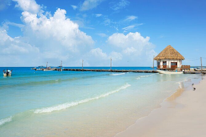 The Best of Holbox Bird Island, Passion Island and Yalahau Cenote - What the Tour Includes and What to Consider