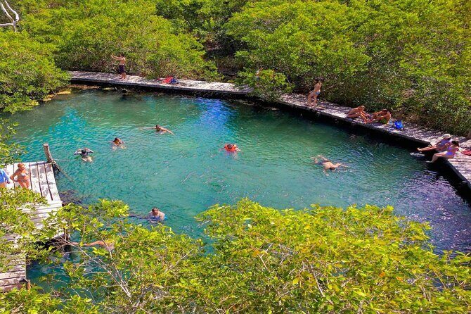 The Best of Holbox Bird Island, Passion Island and Yalahau Cenote - Who Will Love This Tour?