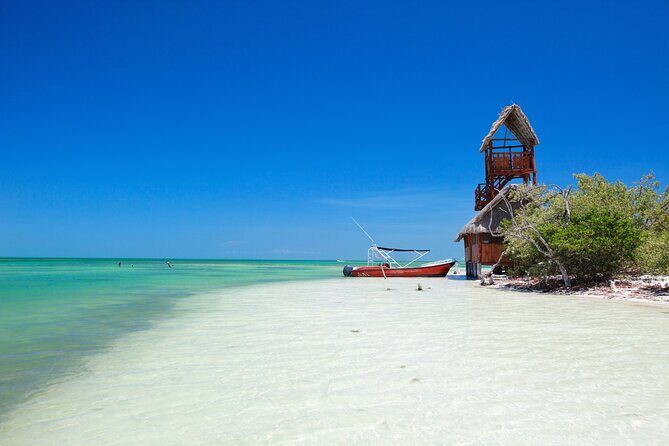 The best of Holbox from Tulum - An In-Depth Look at the Tour Experience