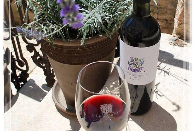 The Best of Hvar Small Group with Wine Tasting and Local meal - An In-Depth Look at the Hvar Small Group Tour