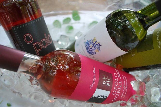 The Best of Hvar Small Group with Wine Tasting and Local meal - Final Thoughts: Who Will Love This Tour?