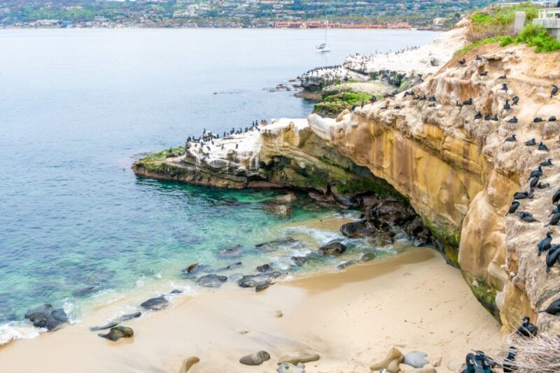 The Best of La Jolla Walking Tour - Sip, Savor & Sea - Key Points