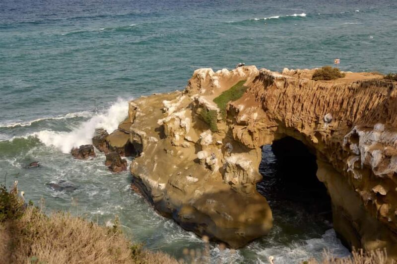 The Best of La Jolla Walking Tour - Sip, Savor & Sea - Final Thoughts