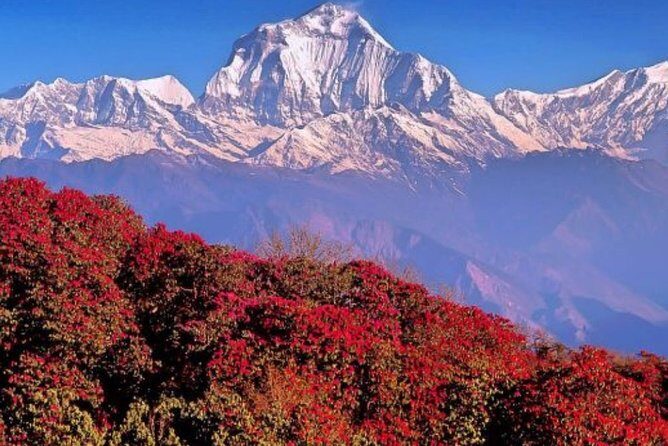 The Best of Nepal : 5-Day Trek to Ghorepani Poon Hill & Ghandruk - An In-Depth Look at the 5-Day Trek Experience