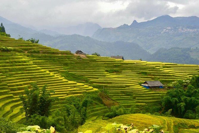 The best of North West Vietnam in 6 days 5 nights - Who Is This Tour Best For?
