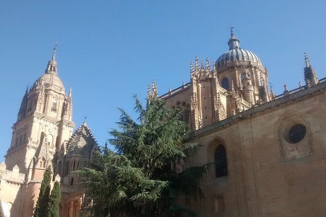 The Best of Salamanca (English) - What Makes This Tour Stand Out?