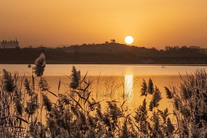 The Best of Shijiazhuang Walking Tour - Detailed Breakdown of the Tour