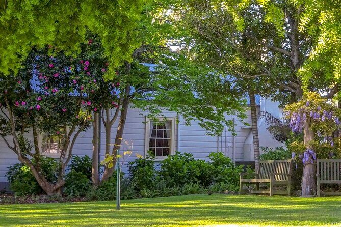 The Best of Tauranga Private Walking Tour - Final Thoughts