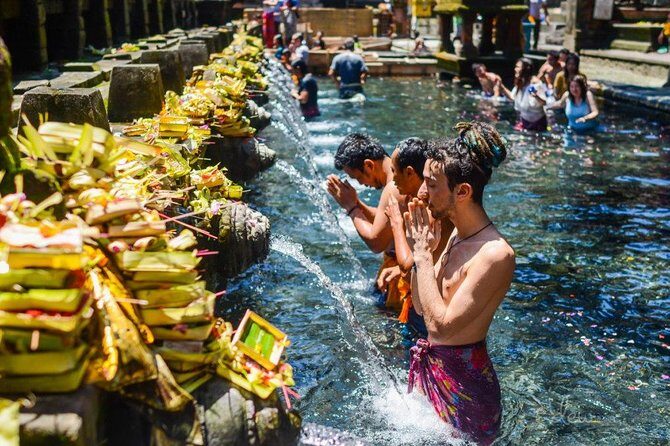 The Best of Ubud Tour and Jungle Swing - A Detailed Look at the Ubud Highlights
