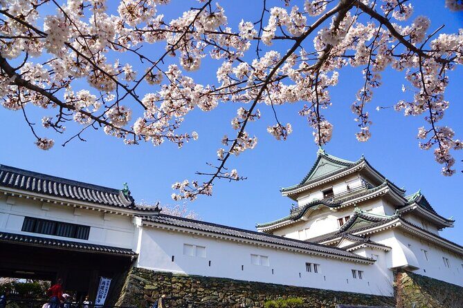 The Best of Wakayama City Private Tour - Practical Details & What They Mean for You