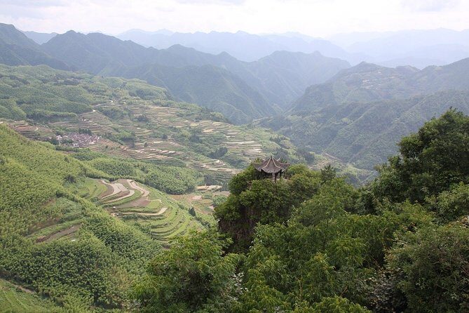 The Best of Zhanjiang Walking Tour - The Value of a Short City Tour