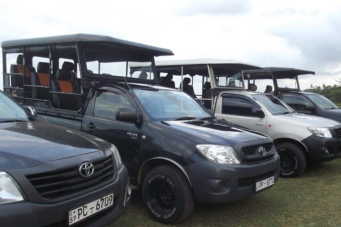 The Best Safari tour from Hambantota Port (Janaka safari) - A Closer Look at Janaka Safari’s Yala National Park Tour